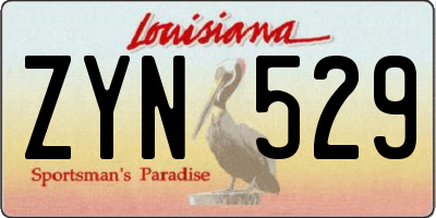 LA license plate ZYN529