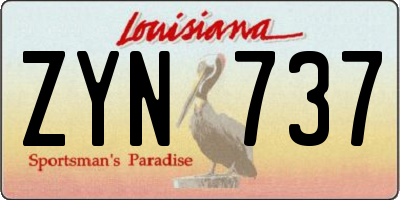 LA license plate ZYN737
