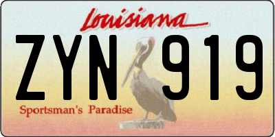 LA license plate ZYN919
