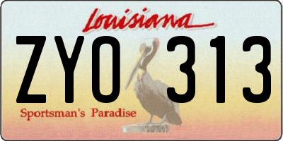 LA license plate ZYO313