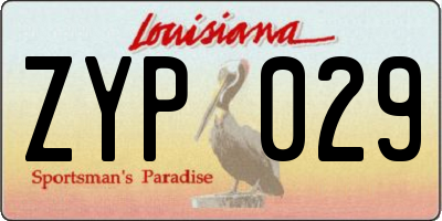 LA license plate ZYP029