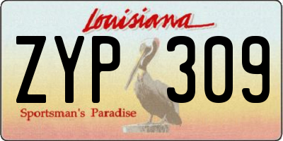 LA license plate ZYP309