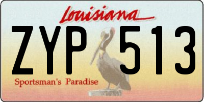 LA license plate ZYP513