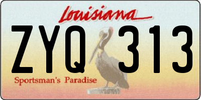 LA license plate ZYQ313