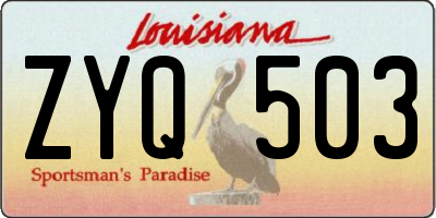 LA license plate ZYQ503