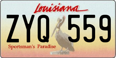 LA license plate ZYQ559
