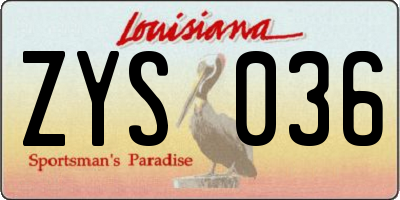 LA license plate ZYS036