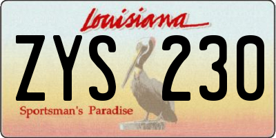 LA license plate ZYS230