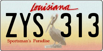 LA license plate ZYS313