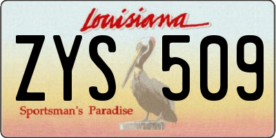 LA license plate ZYS509