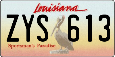 LA license plate ZYS613