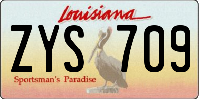 LA license plate ZYS709