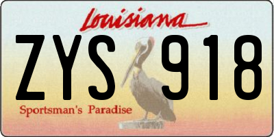 LA license plate ZYS918
