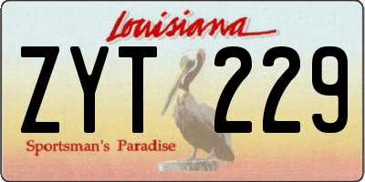 LA license plate ZYT229