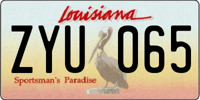 LA license plate ZYU065
