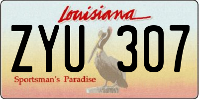 LA license plate ZYU307