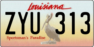LA license plate ZYU313