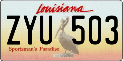 LA license plate ZYU503