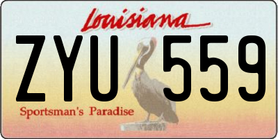 LA license plate ZYU559