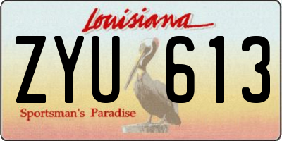 LA license plate ZYU613