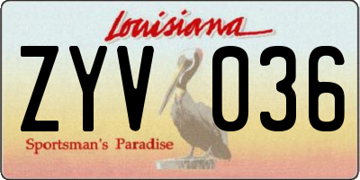LA license plate ZYV036