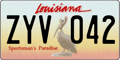 LA license plate ZYV042