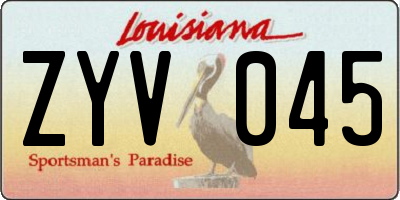 LA license plate ZYV045