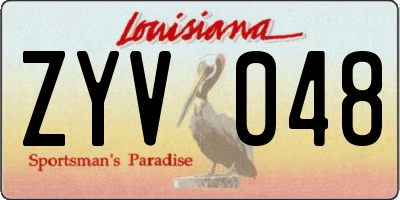 LA license plate ZYV048