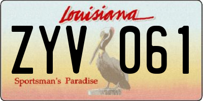 LA license plate ZYV061