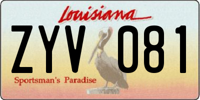 LA license plate ZYV081