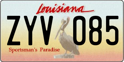 LA license plate ZYV085