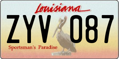 LA license plate ZYV087