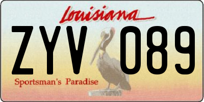 LA license plate ZYV089