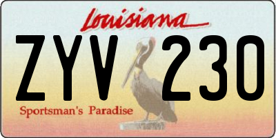 LA license plate ZYV230