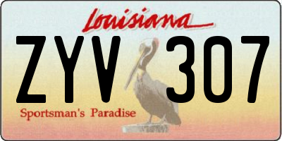 LA license plate ZYV307