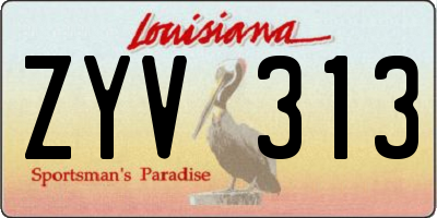 LA license plate ZYV313