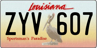LA license plate ZYV607