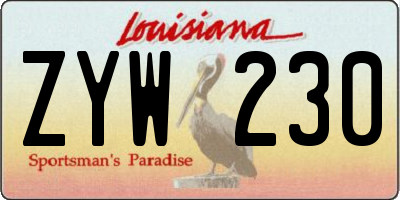 LA license plate ZYW230
