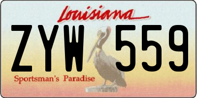 LA license plate ZYW559