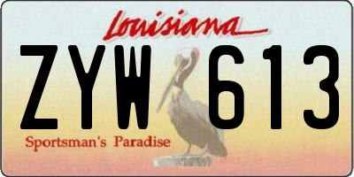 LA license plate ZYW613