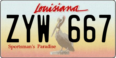 LA license plate ZYW667