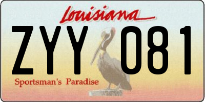 LA license plate ZYY081