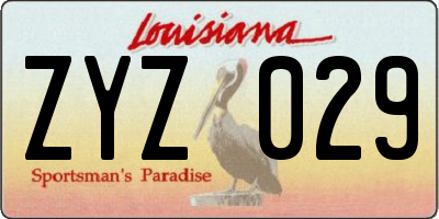 LA license plate ZYZ029