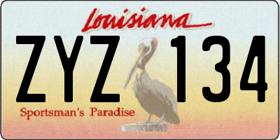 LA license plate ZYZ134