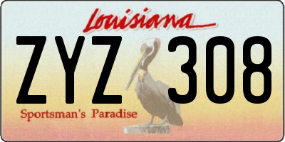 LA license plate ZYZ308