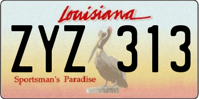 LA license plate ZYZ313