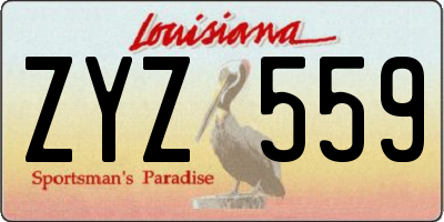 LA license plate ZYZ559