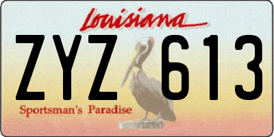 LA license plate ZYZ613
