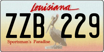 LA license plate ZZB229