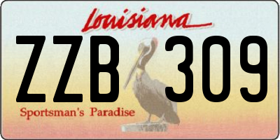 LA license plate ZZB309